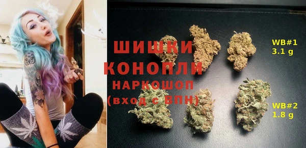 дживик Беломорск