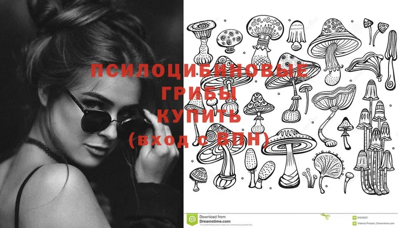 мега сайт  Верхний Тагил  Галлюциногенные грибы Magic Shrooms 